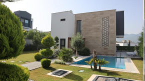 Villa Dream Kuşadası Pool- Garage